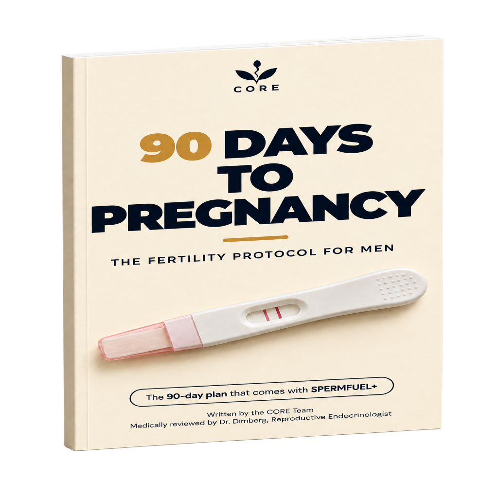 90 Days To Pregnancy