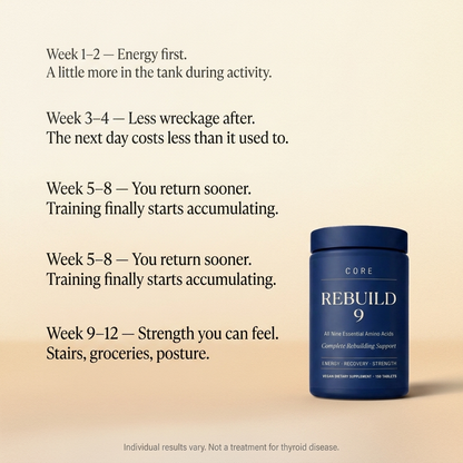 REBUILD 9