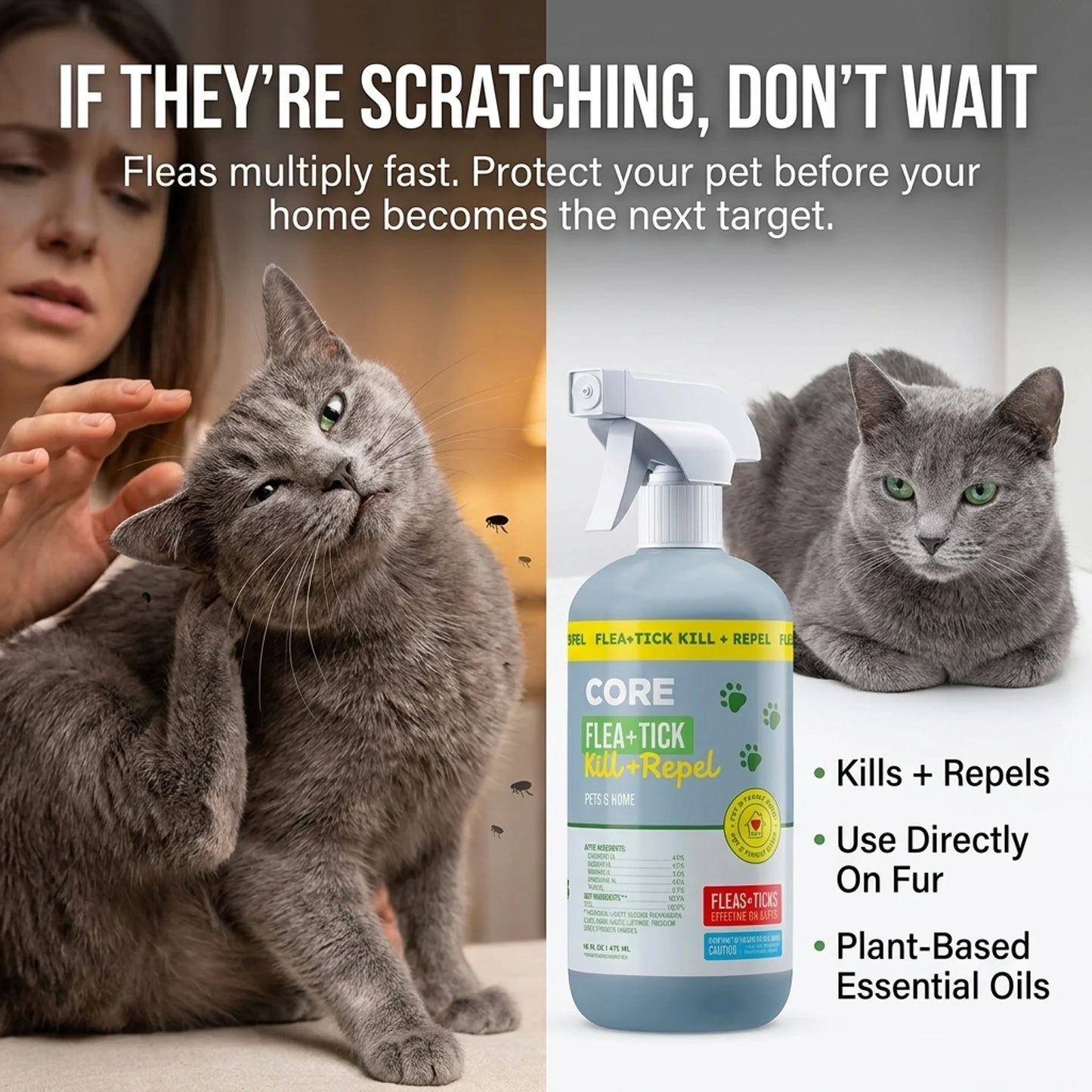 Flea & Tick Repel