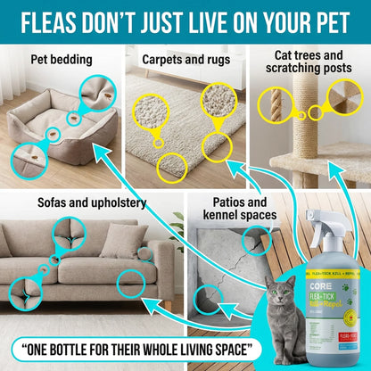 Flea & Tick Repel